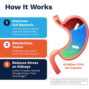 Renadyl Kidney Probiotic Supplement | Urea, Creatinine, & Uric Acid Support | 45 Billion Cfus | Clinically Tested, Non-Gmo, & Made in USA, 180 Capsules (3 Bottles, 3 Month Supply)