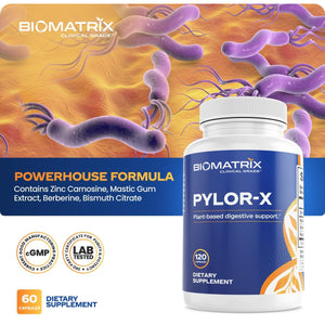 Biomatrix Pylor-X Gut Health Supplement – Mastic Gum, Berberine, Zinc Carnosine & Bismuth Salts for Gastric Support, Digestive Comfort, Stomach Lining Protection - (120 Capsules) 30-60 Day Supply