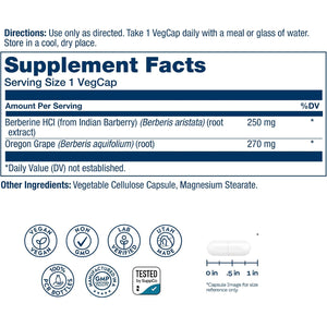 SOLARAY Berberine 250Mg - Berberine Supplement for a Healthy, Active Lifestyle - with Berberine Hcl from Indian Barberry plus Oregon Grape - Vegan, Non-Gmo, 60-Day Guarantee - 60 Servings, 60 Vegcaps