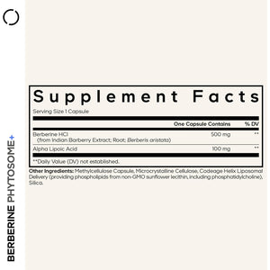 Codeage Berberine Phytosome Supplement - Berberine HCL, Alpha Lipoic Acid, Phospholipid Complex - 2-Month Supply - Berberine HCL - Berberine Hydrochloride - Gluten-Free, Non-Gmo - 60 Capsules
