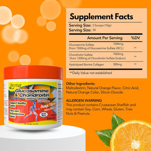 Arymar Glucosamine Chandroitin Powder (1500Mg/1200Mg) - Joint Health Support Supplement - Helps Maintain Mobility & Flexibility - High Absorption Formula - 300G (10.5 Oz)