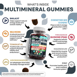 Terramineral Shilajit Gummies with Irish Sea Moss Tongkat Ali Ashwagandha Lion'S Mane MACA Panax Ginseng Rhodiola & Cordyceps by Clean Nutra (1)