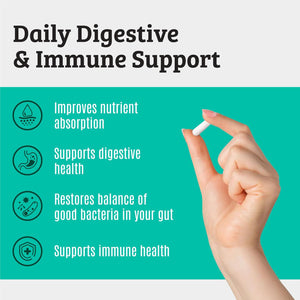 Prebiotics and Probiotics: Lactobacillus Gasseri, Lactobacillus Rhamnosus, Plantarum, Casei, Bifidobacterium Longum, Lactis, Infantis. Probiotic Prebiotic, Pre and Probiotics for Digestive Health.
