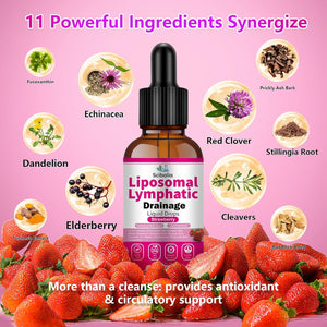 Liposomal Lymphatic Drainage Drops, 11-In-1 Organic Lymphatic Support with Red Clover Echinacea Elderberry Burdock Root for Lymph Cleanse Immune Support & Daily Detox Vegan Non-Gmo