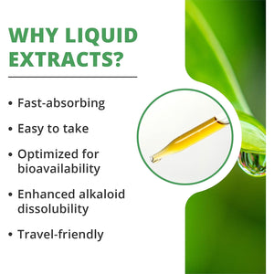Nutramedix Cryptolepis Liquid Supplements - Promote Daily Microbial & Immunity Support - Liquid Vitamins for Women & Men - Broad-Spectrum & Optimized for Absorption (2 Fl Oz)