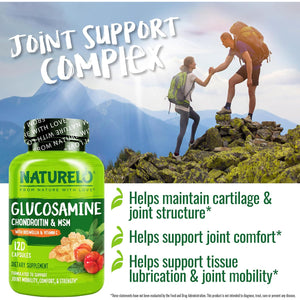 NATURELO Glucosamine Chondroitin MSM with Boswellia and Vitamin C - Supplement for Joint Comfort, Mobility, and Strength - 120 Capsules