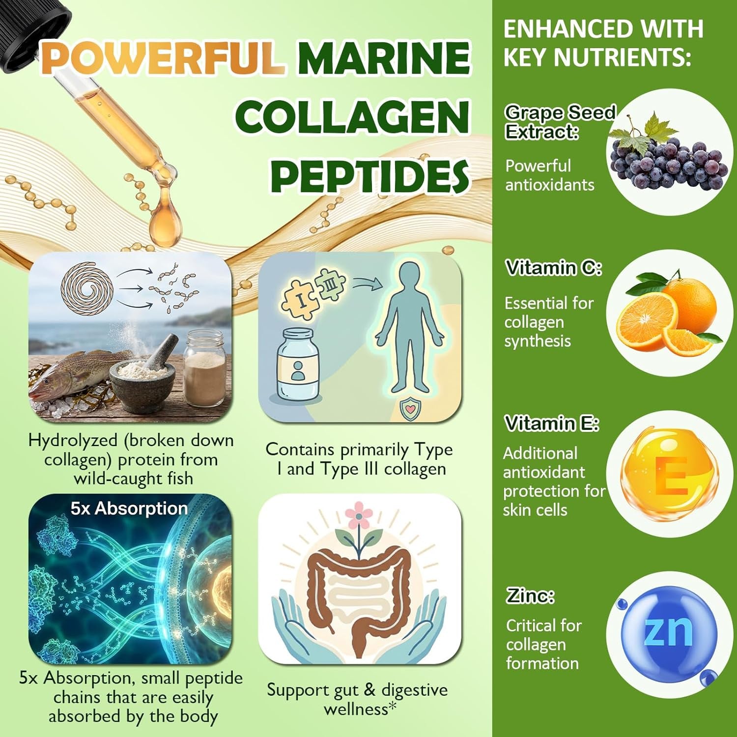 Marine Collagen Peptides Liquid Drops, Hydrolyzed Multi Type I & III Collagen W. Vitamin C E Grape Seed Extract for Joint, Skin, Hair & Nail, Liquid Collagen High Absorption for Women Men, Wild-Caught
