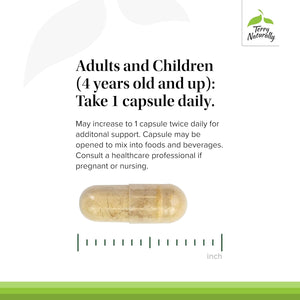 Terry Naturally Propolis Extract EP300 - Upper Respiratory & Immune System Support Supplement - Child & Adult Supplement with Bee Propolis Extract - 60 Capsules