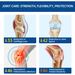 5-Day Fast-Acting Glucosamine Chondroitin MSM - Joint Health Supplement with OVOMET Eggshell Membrane & Boswellia, Support Joint Comfort, Cartilage, Strength & Flexibility - Made in Germany, 120Ct
