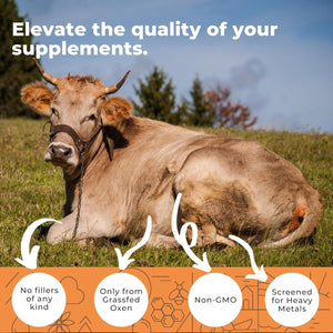 Grass-Fed Ox Bile Extract 1000Mg Bile Salts Supplements with Black Pepper for Faster Absorption - Supports Digestive Health - 180 Capsules