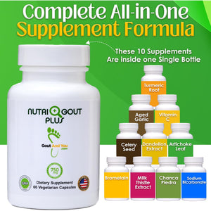 Gout and You Nutrigout plus - Uric Acid Support Premium Formula - 60 Vegetarian Capsules - 750 Mg per Capsule