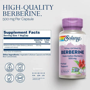 SOLARAY Berberine 500Mg - Berberine Supplement for a Healthy, Active Lifestyle - with Berberine Hcl from Indian Barberry - Vegan, Non-Gmo, 60-Day Guarantee - 60 Servings, 60 Vegcaps (60 CT)