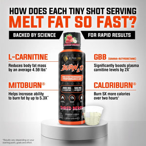ALPHA LION Burn2O L-Carnitine Liquid 2000Mg, Premium Liquid Fat Burner & Pre-Workout Supplement for Men & Women - Natural Energy & Metabolism Booster for Weight Loss - Shredberry