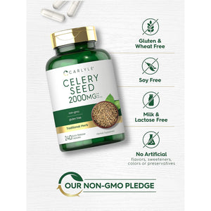 Carlyle Celery Seed Extract Capsules | 240 Count | Traditional Herb Supplement | Non-Gmo and Gluten Free Formula