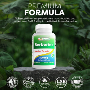 Best Naturals Berberine 500Mg 120 Capsules - Supports Immune Function, Cardiovascular & Gastrointestinal Function (120 Count (Pack of 1))