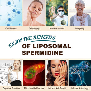 Spermidine Supplement 15 MG - 99% Purity, High Absorption, 1500 MG Fermented Wheat Germ Extract with Zinc & Thiamin, Spermidine for Men & Women - Cellular Renewal, Aging Defense, Energy, 120 Softgels