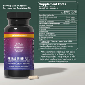 Primal Harvest Brain Supplement, Primal Mind Fuel Brain Booster for Focus, Energy, Clarity, Memory Brain Health 30 Capsules Nootropics Brain Support Supplement for Men and Women (2 Pack (30 Count))