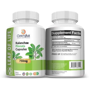 Kalanchoe Pinnata-Leaf of Life (Bryophyllum Pinnatum) 60 Cápsulas De 750Mg Bottle.