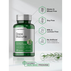 Horbäach Dopa Mucuna Supplement | 120 Capsules | Velvet Bean Herbal Extract | 15% L-Dopa | Non-Gmo & Gluten Free