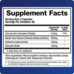 Biomatrix Pylor-X Gut Health Supplement – Mastic Gum, Berberine, Zinc Carnosine & Bismuth Salts for Gastric Support, Digestive Comfort, Stomach Lining Protection - (120 Capsules) 30-60 Day Supply
