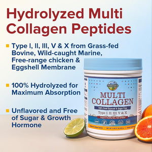 Terranics Multi Collagen Peptides Powder, Type I II III V X Hydrolyzed Collagen for Women+Men, Collagen Supplements, Fast Dissolve, Unflavored Colageno, No Sugar, Keto, 16Oz