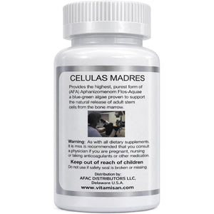 Celulas Madres Stem Cell Enhancer