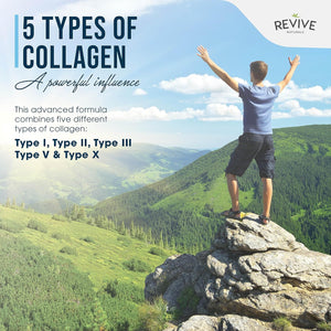 Revive Naturals Multi Collagen Hydrolyzed Protein Powder (16Oz) - Types I, II, III, V & X - Grass Fed Bovine, Wild Caught Marine, Free Roaming Chicken & Eggshell Collagen Peptides,