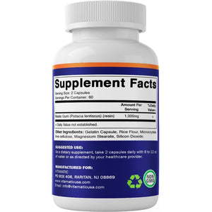 Vitamatic Mastic Gum 1000Mg per Serving - Support Digestive Function, Gastrointestinal Health, Immune and Oral Wellness, 120 Capsules