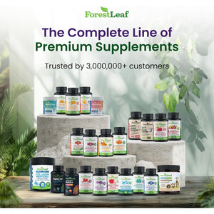 Forestleaf Glucosamine Chondroitin MSM Joint Supplement Complex - 1200Mg - 120 Caps
