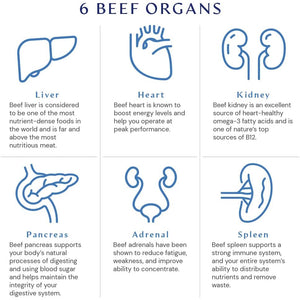 Bodyhealth Organ+ Grass-Fed Glandular Organ Complex, Grassfed Beef Organ Supplement, Dessicated Beef Liver, Heart, Kidney, Pancreas, Spleen, Non GMO, Adrenal, Supplement, (150 Capsules)