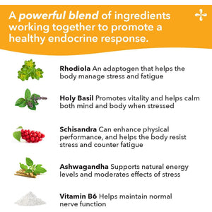 Lifeseasons Adrenal-T - Adrenal Fatigue Support Supplement - Helps Lower Cortisol - Avoid Burnout - Aids Stress Management - Energizing - with Ashwagandha Adaptogens - 60 Capsules