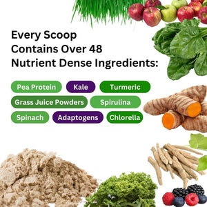 Paradise Herbs ORAC Energy Protein & Greens Powder, Antioxidant Power of 24 Servings of Fruits & Vegetables in 1 Scoop + 20G Protein, Unflavored, 15 Servings