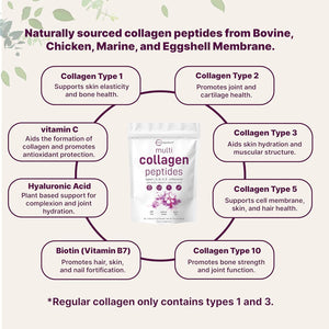 Micro Ingredients Multi Collagen Peptides Powder, 40 Stick Packs | Type I, II, III, V, X + Biotin, Vitamin C & Hyaluronic Acid | Unflavored | Supports Hair, Skin & Joint Health | Keto, Non-Gmo