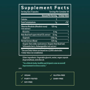 Gaia Herbs Adrenal Health Daily Support - Herbal Supplement with Ashwagandha, Holy Basil & Schisandra - Help Maintain Healthy Energy & Stress Levels* - 60 Vegan Liquid Phyto-Caps (30 Servings)