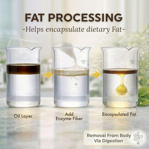 DOKKANABURADAS Plant Based Weight Loss Supplements for Women Fat Belly& Bloating, Natural Digestive Enzymes, Metabolism Booster Weight Loss Pills with 46 Plants& Fiber from Japan 180 Pill Premium