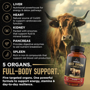 Beef Organ Supplement for Men & Women - PRIMUS Grass Fed Beef Liver Capsules with Heart, Primal Ancestral Blend 5 Organ Meat Supplements, Viking Energy Complex, Bioperine for Absorption, 180 Pills