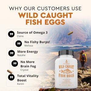 Ancestral Supplements Wild Caught Fish Eggs, 2400Mg, Omega-3 Supplement Supports Brain, Heart, Fertility and Inflammatory Health, Whole Food Source of Vitamin D, K2, and A, Non-Gmo, 180 Capsules