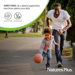 Naturesplus Source of Life - 90 Tablets - Multivitamin & Mineral Supplement with Concentrated Whole Foods - Gluten Free, Vegetarian - 30 Servings