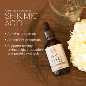 Noelle'S Naturals Pine Needle Extract Tincture - Wildcrafted Eastern White Pine Needles, Organic, High Shikimic Acid, Vitamin C & Antioxidants - Immune Support Drops, 2 Fl Oz