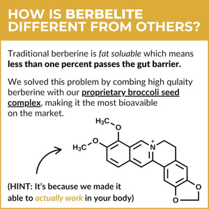 Mara Labs Berbelite | 350Mg Berberine HCL & Broccoli Seed Complex for Increase Bioavailability | 30 Vegan Capsules
