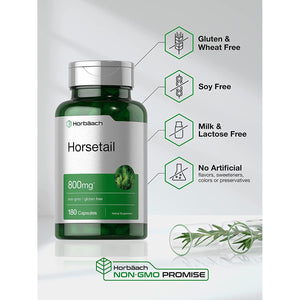 Horbäach Horsetail Supplement | 180 Capsules | Traditional Herbal Extract | Non-Gmo & Gluten Free