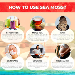 Sea Moss Gel - Wildcrafted Seamoss Gel Superfood - Strawberry Flavor Irish Sea Moss Vitamin and Mineral-Rich from Pristine Caribbean Waters, Immune and Digestive Health Support - 10 Oz.