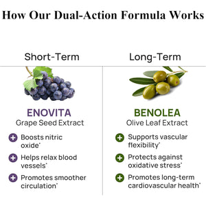 Durable Blood Pressure – Benolea Olive Leaf & Enovita Grape Seed Extract – Healthy Circulation, Nitric Oxide & Artery Support – Doctor Formulated, Vegan, Non-Gmo, Made in USA (60 Capsules)