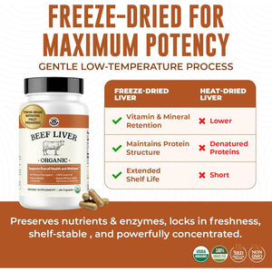 USDA Organic Beef Liver Capsules – Grass Fed & Pasture Raised in Australia – Nutrient Dense Superfood for Energy & Wellness – No Fillers, Freeze-Dried Liver Supplement – 180 Capsules