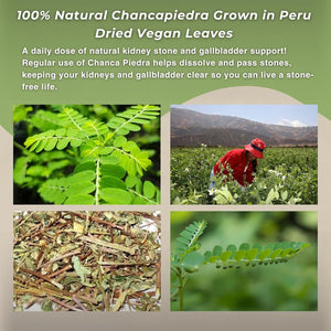 Hanan Chanca Piedra Loose Leaf 1.4Oz - Stonebreaker Herbal Tea 40G Dried Vegan Leaves 100% Natural Chancapiedra Grown in Peru