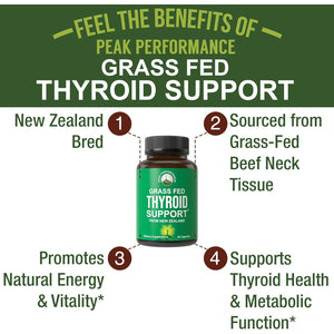Raw Desiccated Thyroid Supplement. Grass Fed New Zealand Beef Neck & Thyroid Gland Capsules for Women and Men. Ancestral Living Ethically Sourced Bovine Supplements for Energy and Metabolism Support