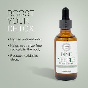 Noelle'S Naturals Pine Needle Extract Tincture - Wildcrafted Eastern White Pine Needles, Organic, High Shikimic Acid, Vitamin C & Antioxidants - Immune Support Drops, 2 Fl Oz