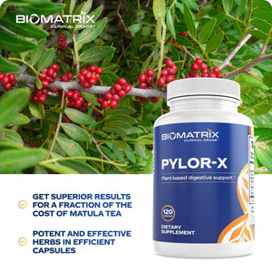 Biomatrix Pylor-X Gut Health Supplement – Mastic Gum, Berberine, Zinc Carnosine & Bismuth Salts for Gastric Support, Digestive Comfort, Stomach Lining Protection - (120 Capsules) 30-60 Day Supply
