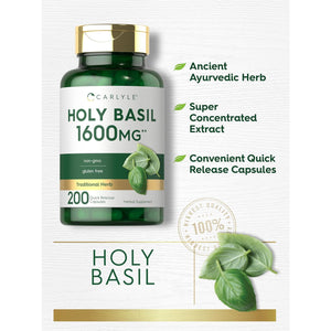 Carlyle Holy Basil Capsules | 200 Count | Tulsi Holy Basil Leaf Extract | Herbal Supplement | Non-Gmo, Gluten Free