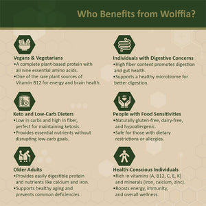 Premium Dried Wolffia Globosa Superfood | Low Carb, High Protein 40% | Rich in Minerals, Vitamins a E B12 & Essential Amino Acids | the Future of Sustainable Plant-Based Nutrition 2.11 Oz (60G)